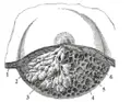 Thumbnail for version as of 16:55, 9 June 2006
