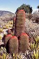 Thumbnail for version as of 11:22, 2 July 2006