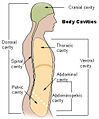 Thumbnail for version as of 22:32, 1 August 2008