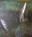 Thumbnail for version as of 01:05, 20 December 2008