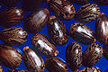 Thumbnail for version as of 17:20, 17 July 2008