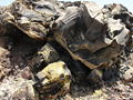 Thumbnail for version as of 18:28, 7 December 2007