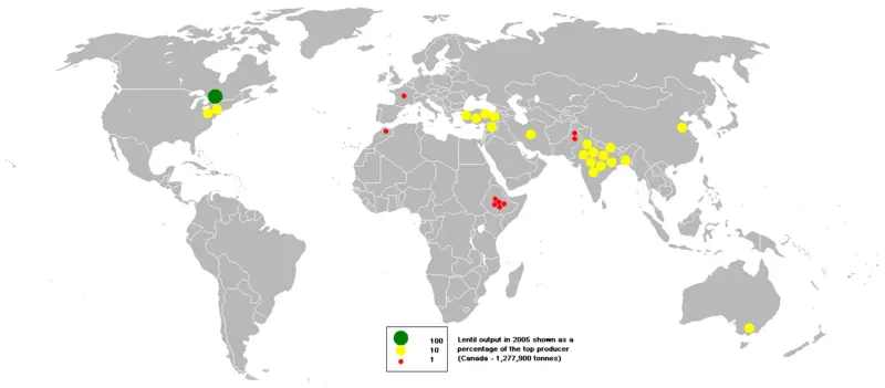 File:2005lentil.PNG