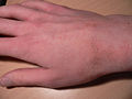 Thumbnail for version as of 18:24, 17 May 2008