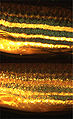 Thumbnail for version as of 01:46, 6 August 2008