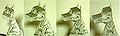 Thumbnail for version as of 01:31, 9 April 2007