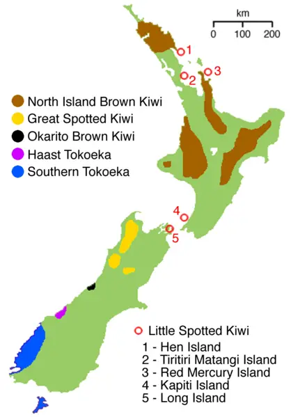 File:NZ-kiwimap.png