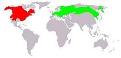 Muskrat range (native range in red, introduced range in green) I