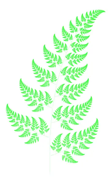 File:Bransleys fern.png