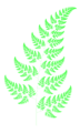 Thumbnail for version as of 02:40, 25 October 2007