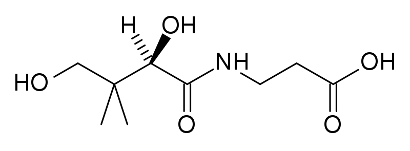 File:Pantothenic acid structure.svg