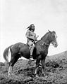 Nez Perce warrior on horse.jpg