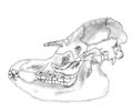 Thumbnail for version as of 00:26, 15 August 2007