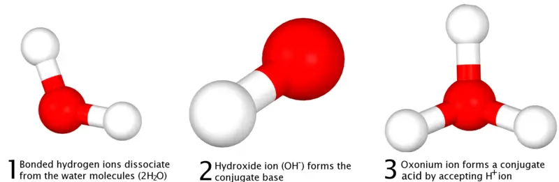 File:Bronsted-lowry-3d-explanation-diagram.png