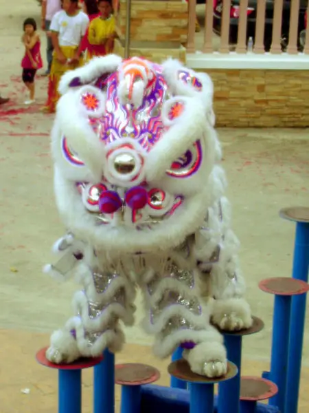 File:White lion.jpg