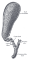 Thumbnail for version as of 15:18, 6 May 2006