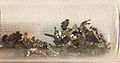 Thumbnail for version as of 05:56, 4 February 2007