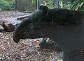 Thumbnail for version as of 00:28, 15 August 2007