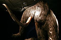 Thumbnail for version as of 16:35, 16 May 2008