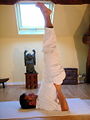 Thumbnail for version as of 04:09, 11 November 2008