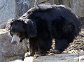 Thumbnail for version as of 22:21, 10 June 2008