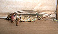 Thumbnail for version as of 18:10, 1 December 2007