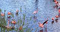 Thumbnail for version as of 18:50, 14 July 2008
