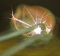Thumbnail for version as of 19:32, 18 December 2007