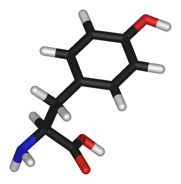 File:L-tyrosine-3D-sticks.png