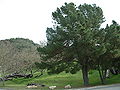 Thumbnail for version as of 10:46, 10 September 2006
