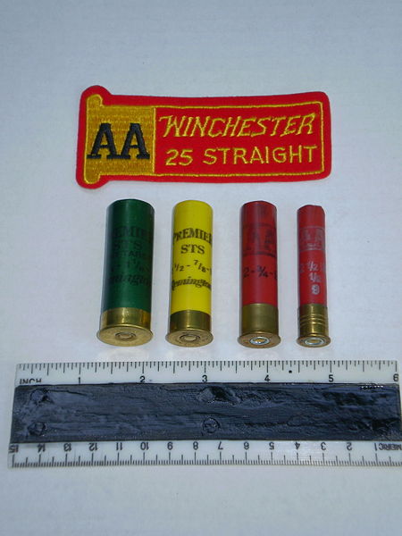 File:Shotgun-ammo2.jpg