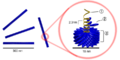 Thumbnail for version as of 00:33, 13 June 2006