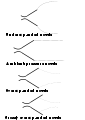 Thumbnail for version as of 02:09, 12 October 2007