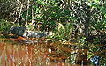 Thumbnail for version as of 20:46, 18 May 2007