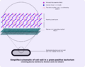 Thumbnail for version as of 22:48, 10 July 2008