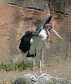 Thumbnail for version as of 23:13, 21 August 2007