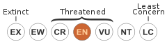 File:Status iucn3.1 EN.svg