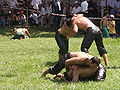 Thumbnail for version as of 00:00, 12 October 2007