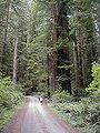 Thumbnail for version as of 22:30, 10 May 2006