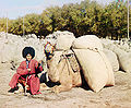 Thumbnail for version as of 02:44, 25 April 2007