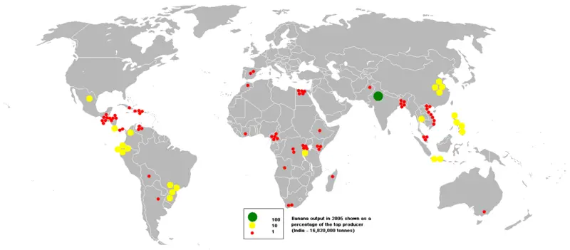 File:2005banana.PNG