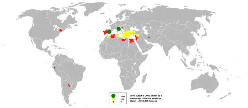 File:2005olive.PNG