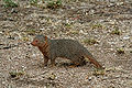 Thumbnail for version as of 15:07, 1 November 2007