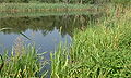 Thumbnail for version as of 20:49, 18 May 2007