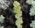 Thumbnail for version as of 00:24, 18 April 2008