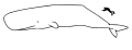 Thumbnail for version as of 19:05, 10 December 2007