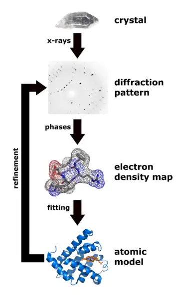 File:X ray diffraction.png
