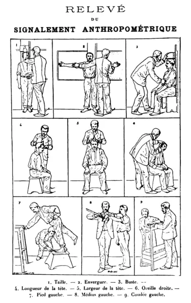 File:Bertillon - Signalement Anthropometrique.png