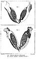 Thumbnail for version as of 02:20, 5 April 2007