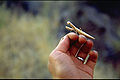 Thumbnail for version as of 03:55, 27 October 2007